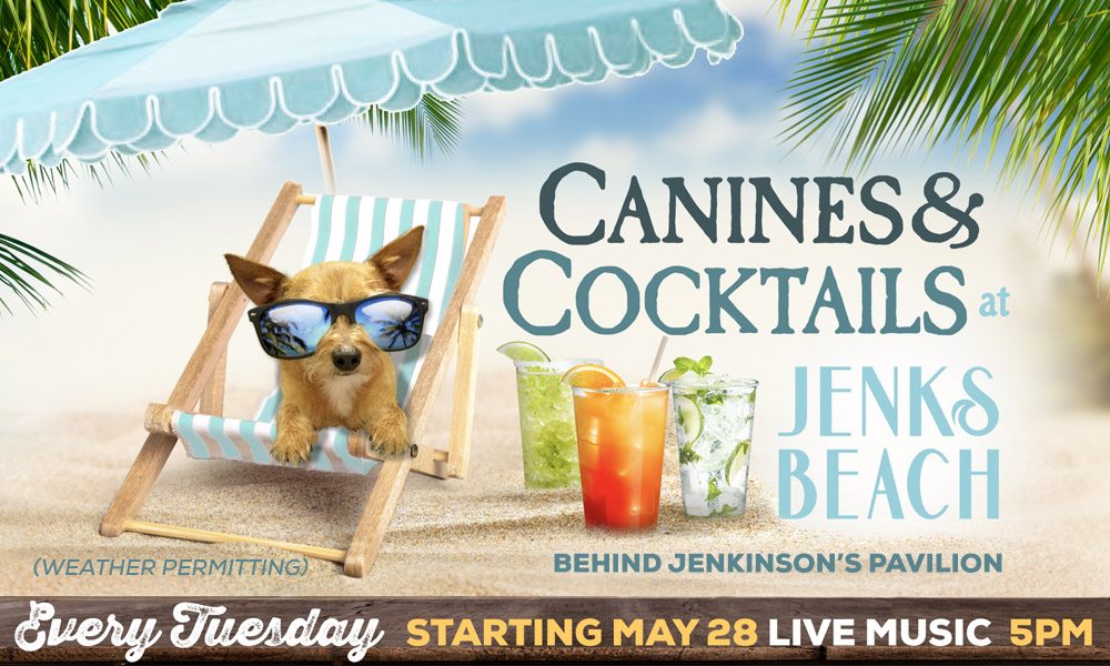 Canines and Cocktails