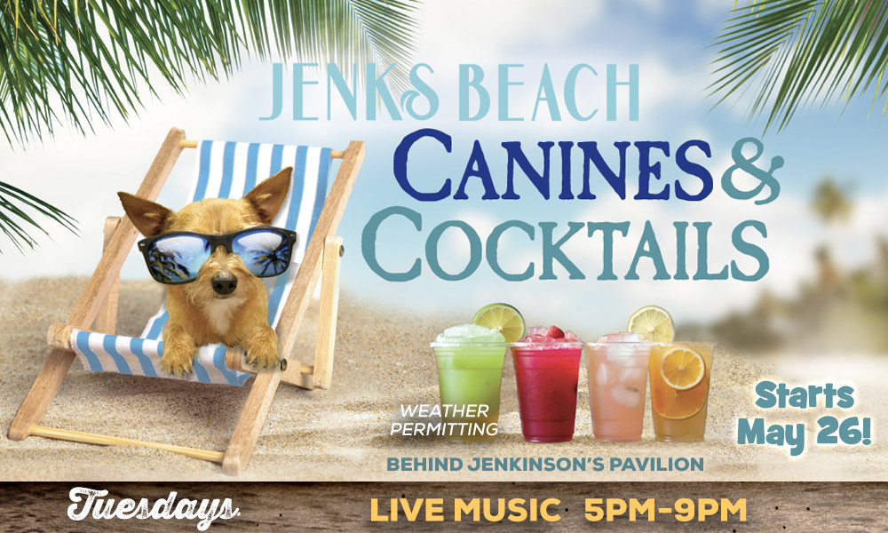 canines-and-cocktails