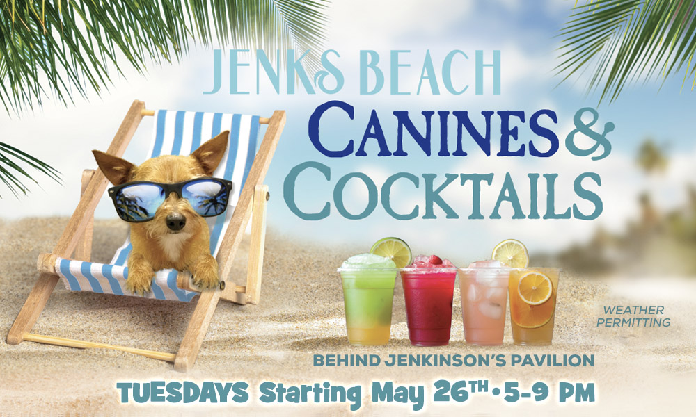 canines-and-cocktails