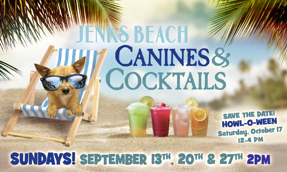 canines-and-cocktails